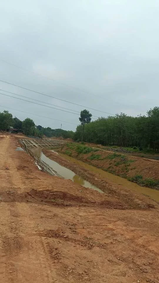 Bán đất thổ cư 50m² Tân Đông Bình Chánh 1 tỷ 4 - Ảnh thu nhỏ 3