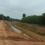 Bán đất thổ cư 50m² Tân Đông Bình Chánh 1 tỷ 4 - Ảnh thu nhỏ 3