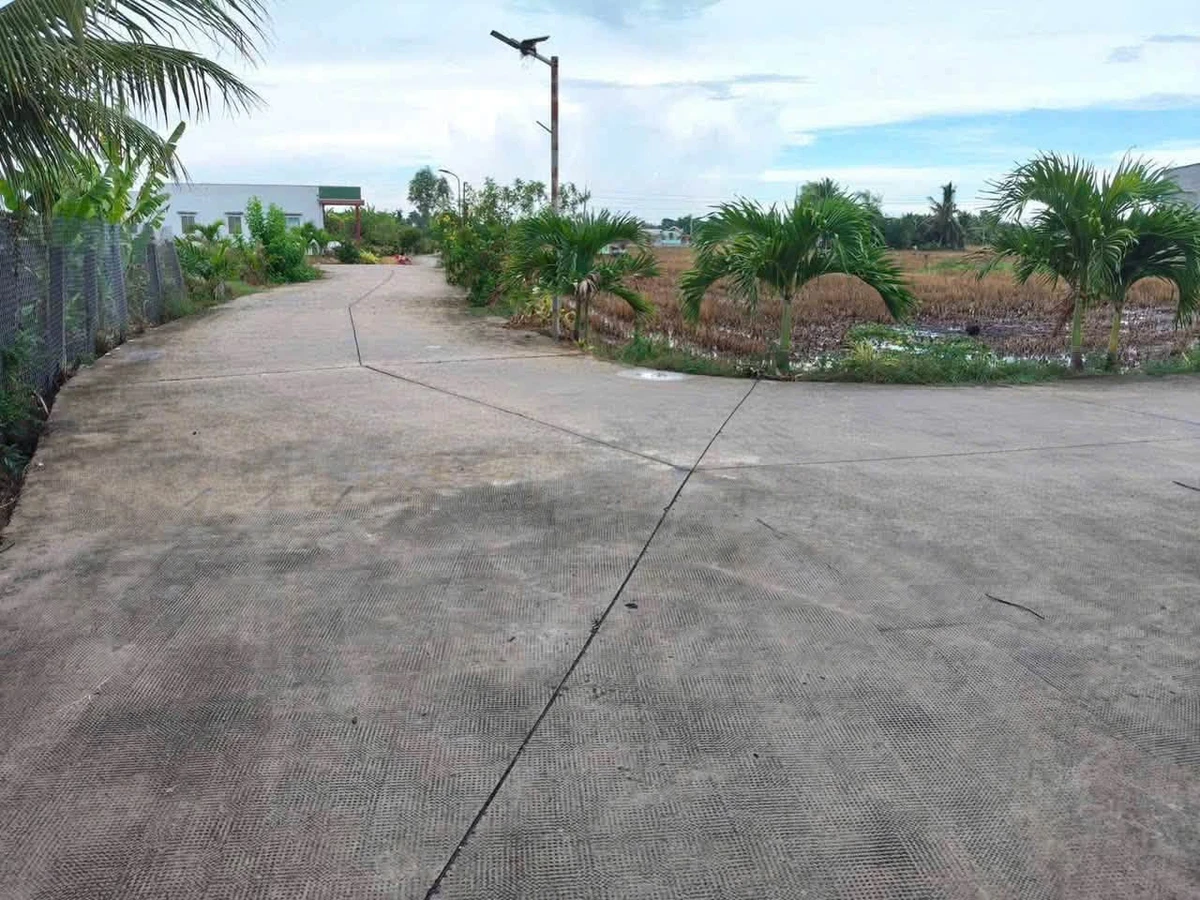 Bán đất lúa 2 mặt tiền 868m² Tân Trụ, Long An 1 tỷ 800 - Ảnh 1