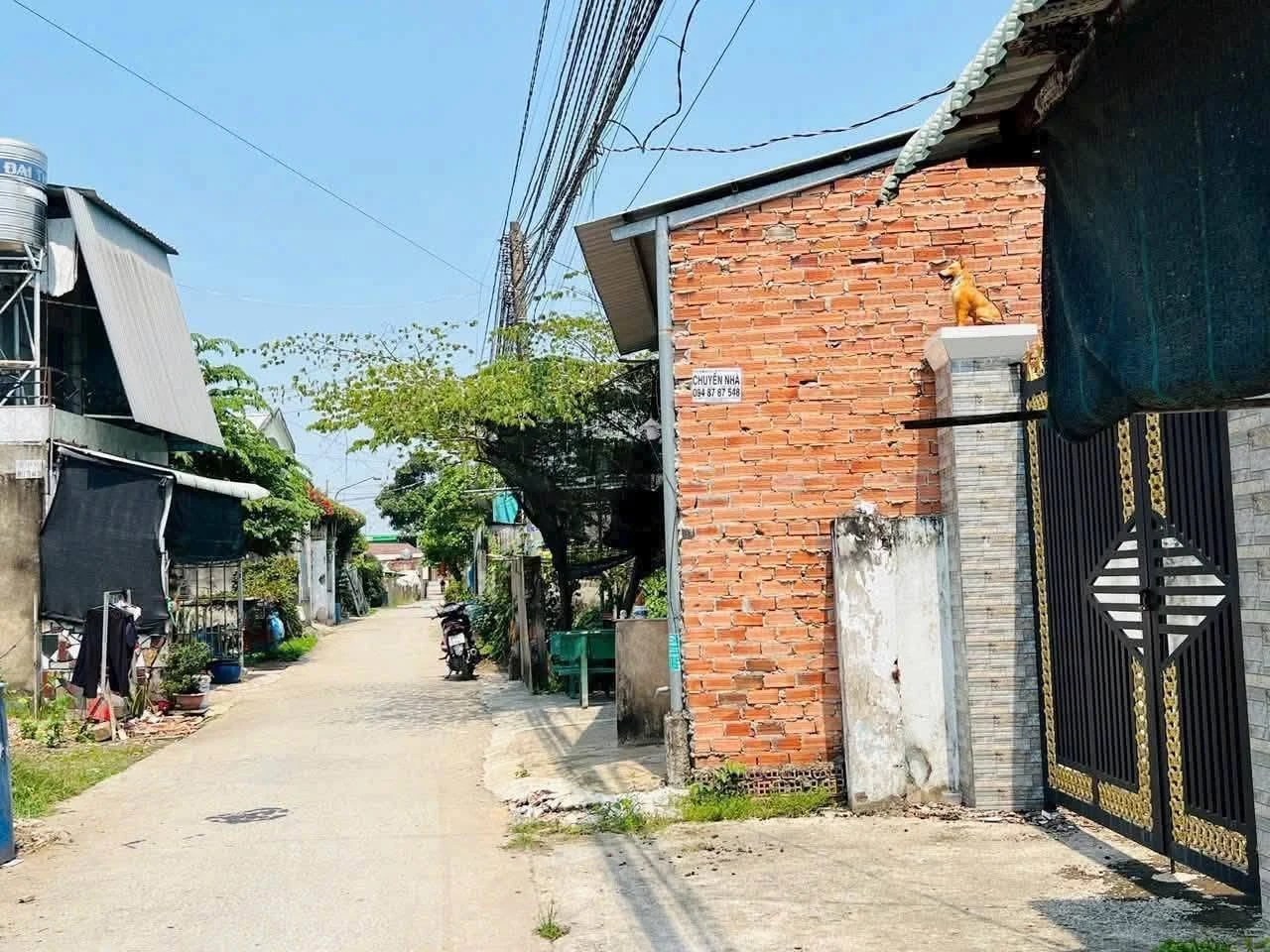Bán đất 5x26m Đức Hòa Long An sổ riêng 1 tỷ 650 - Ảnh 1
