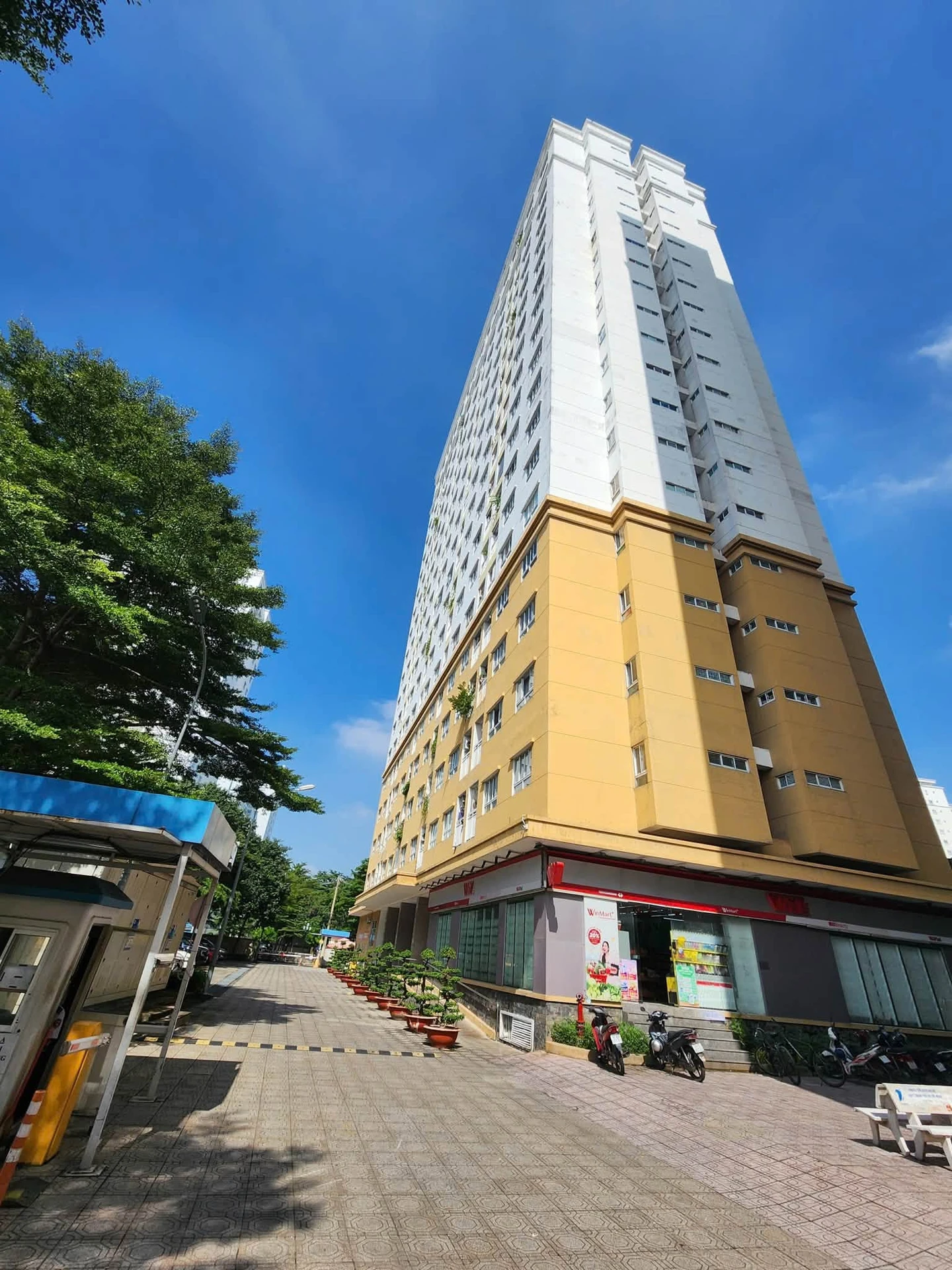 Bán căn hộ 53m² trung tâm Tân Phú, 3,2 tỷ - Ảnh 1