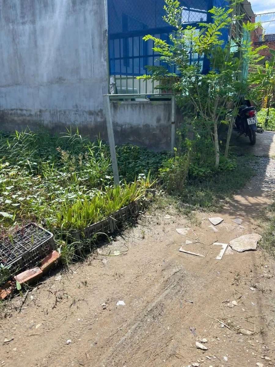 Bán đất thổ cư sổ hồng riêng 82m2 giá 450 triệu tại Cần Giuộc, Long An - Ảnh thu nhỏ 2