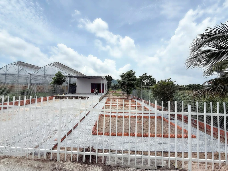 Bán nhà vườn 500m2 Long Mỹ, xã Phước Hải, TP.HCM giá 2,05 tỷ