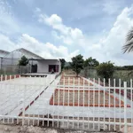Bán nhà vườn 500m2 Long Mỹ, xã Phước Hải, TP.HCM giá 2,05 tỷ - Ảnh thu nhỏ 1