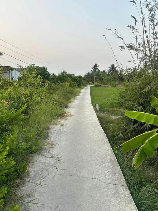Bán 4 công đất lúa tại Phường Tân An, Long An