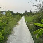 Bán 4 công đất lúa tại Phường Tân An, Long An - Ảnh thu nhỏ 1