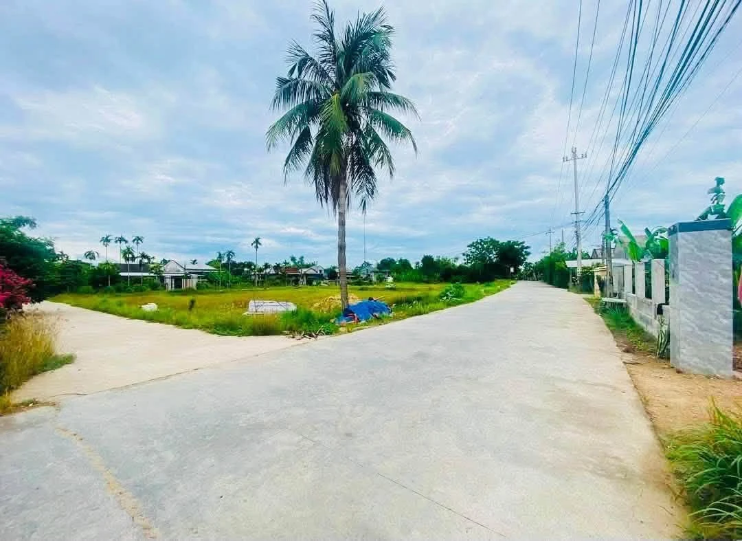 Bán đất mặt tiền Tĩnh lộ 8A Quảng Thọ Huế 42m2 6 tỷ - Ảnh thu nhỏ 2