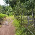 Bán đất 8,6 ha cao su ở An Khương, Hớn Quản, giá 1 tỷ - Ảnh thu nhỏ 1