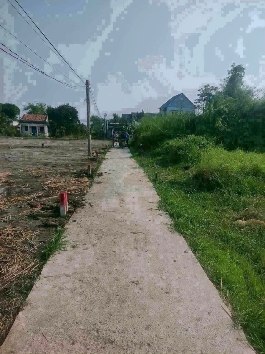 Bán lô đất 120m2 gần Chợ Mỹ, Bình Tân - Ảnh 1