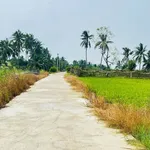 Bán 1989m² đất nhánh 3/2, sân vườn cao ráo - Ảnh thu nhỏ 1