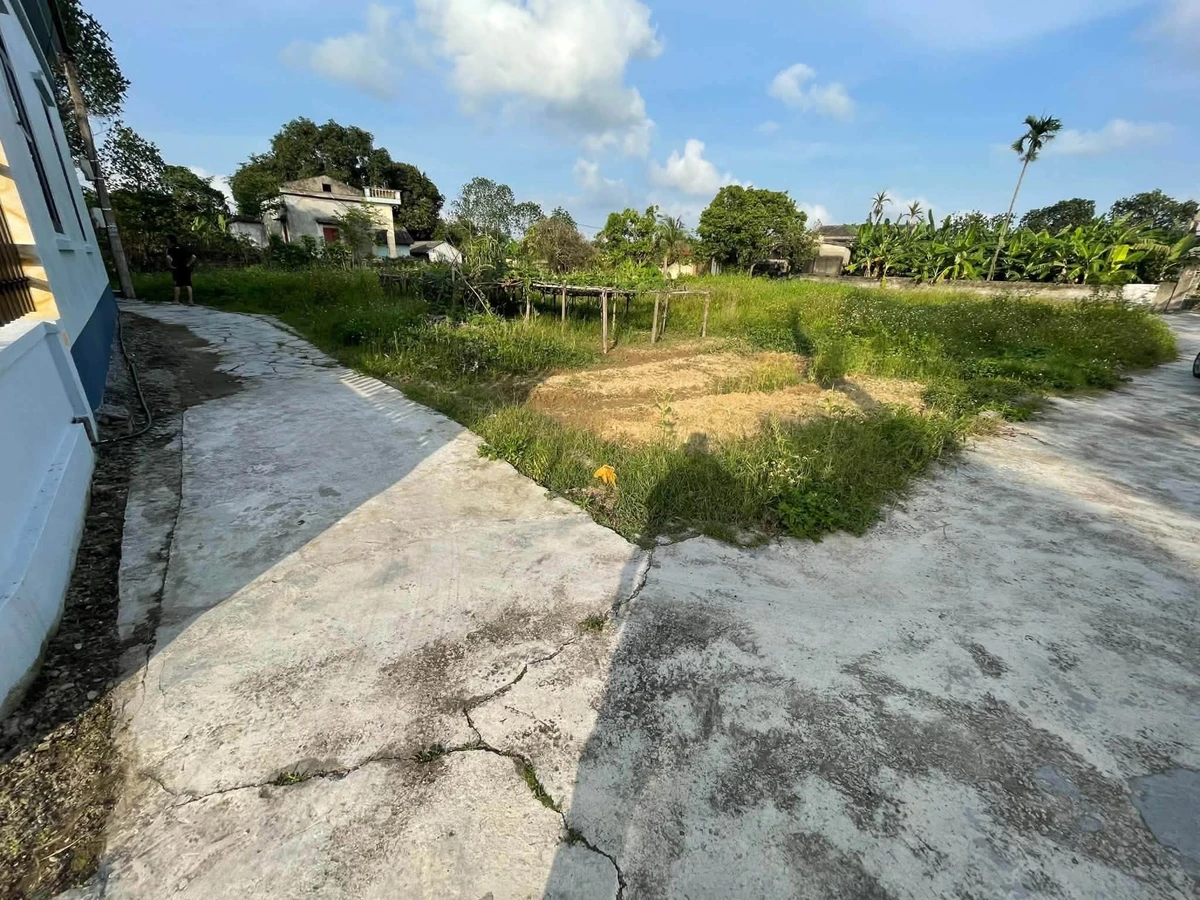 Bán 3 mảnh đất tại Hà Kỳ và Văn Tố, Tứ Kỳ, giá từ 350 triệu - Ảnh thu nhỏ 2