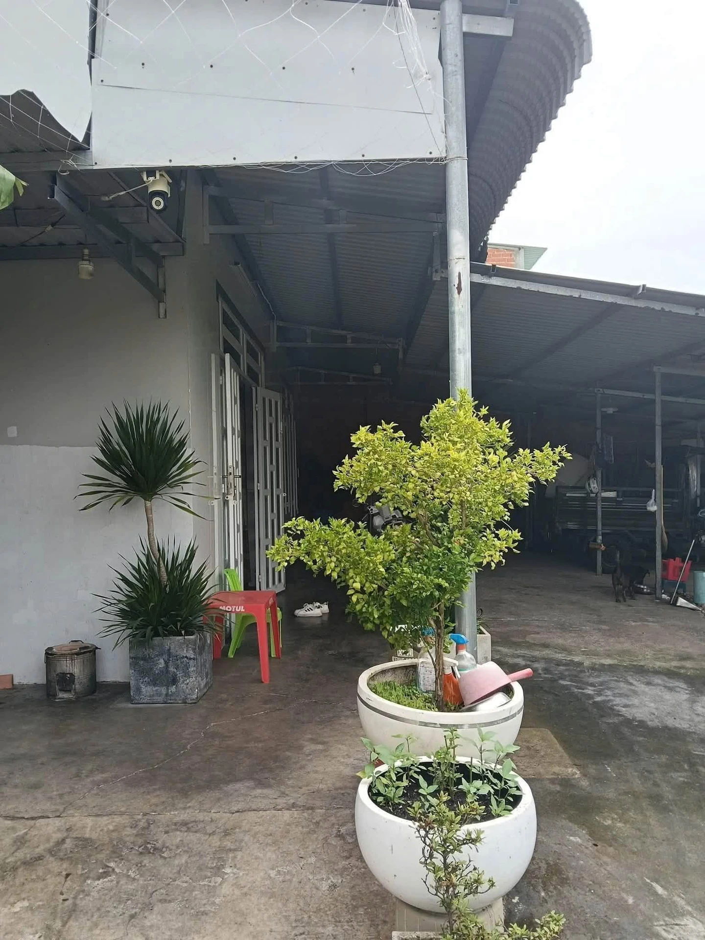 Bán nhà Tân Hưng 109m2, 1 tỷ 250 triệu - Ảnh 1