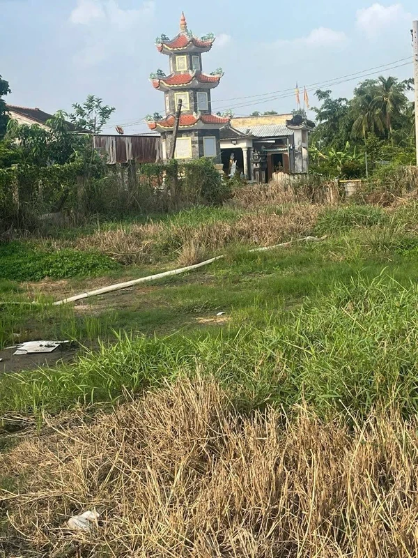 Bán gấp đất thổ cư 6,5x24m Phước Vân, Cần Đước, Long An giá 700 triệu/lô