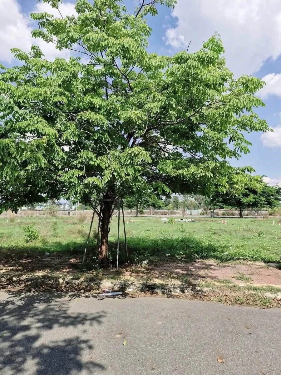 Bán đất Phú Mỹ 5.2m² giá 3 tỷ gần trường cấp 2 - Ảnh 1