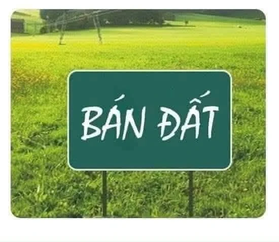 Bán lô đất mặt tiền Tế Hạnh 125m² hướng nam