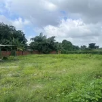 Cho thuê đất 1.000m² Tân Vạn, 6 triệu/tháng - Ảnh thu nhỏ 3