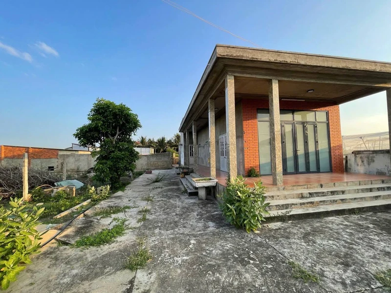 Bán đất 805m² có nhà 2 PN tại Tỉnh lộ 704 Ninh Hải