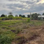 Bán lô đất 200m² xây nhà ở 190 triệu Hàm Liêm - Ảnh thu nhỏ 2