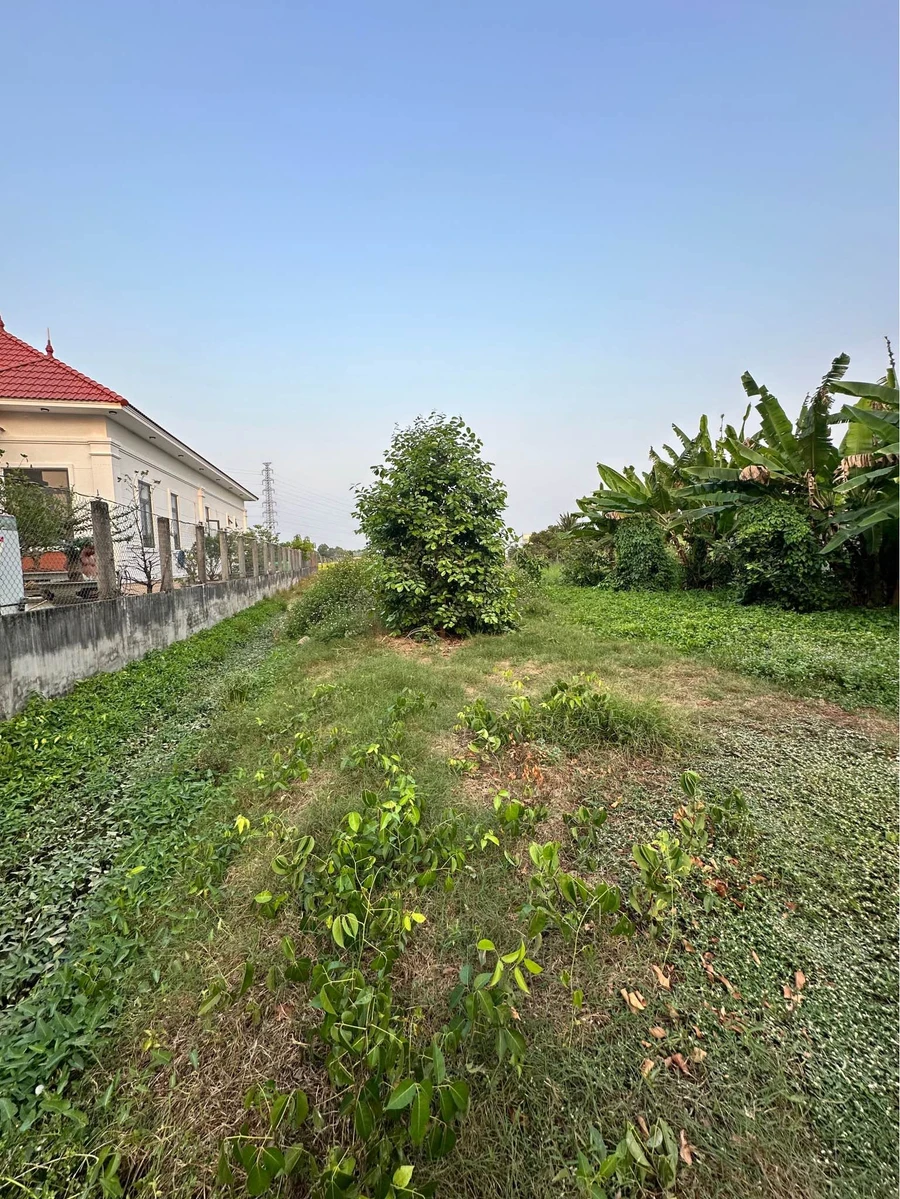 Bán đất 18 x 66.75m (1201.5m²) Phường Long An, Tân An, Long An - Ảnh thu nhỏ 4