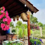 Bán nhà vườn 800m2 tại Phan Thiết, Bình Thuận 820 triệu - Ảnh thu nhỏ 3