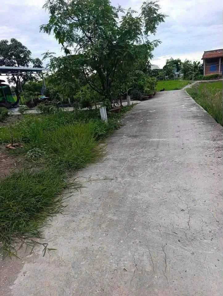 Bán đất thổ cư 82m2 giá 450 triệu gần QL50, Cần Đước - Ảnh thu nhỏ 4