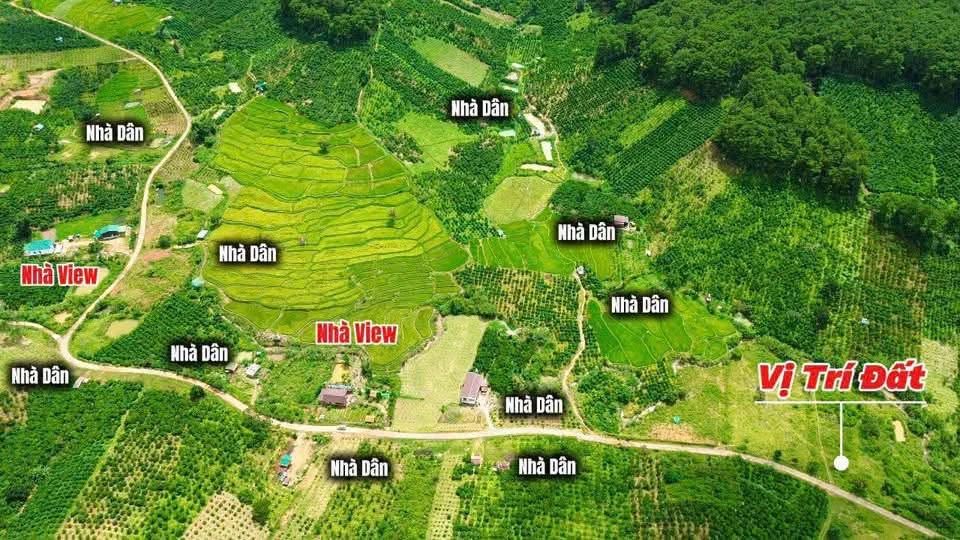 Bán đất 1050m² Di Linh Lâm Đồng 890 triệu - Ảnh thu nhỏ 4