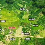 Bán đất 1050m² Di Linh Lâm Đồng 890 triệu - Ảnh thu nhỏ 4