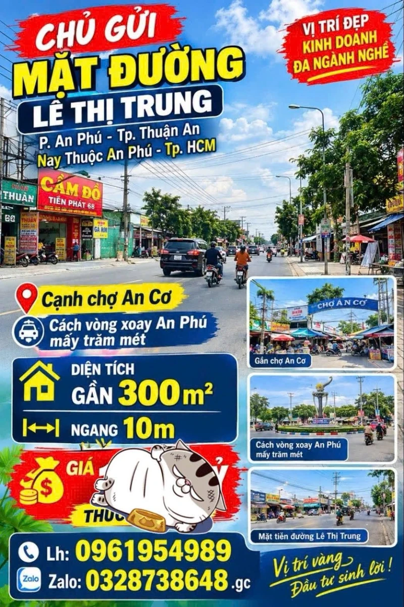 Bán mặt tiền Lê Thị Trung 300m² kinh doanh 12 tỷ - Ảnh 1