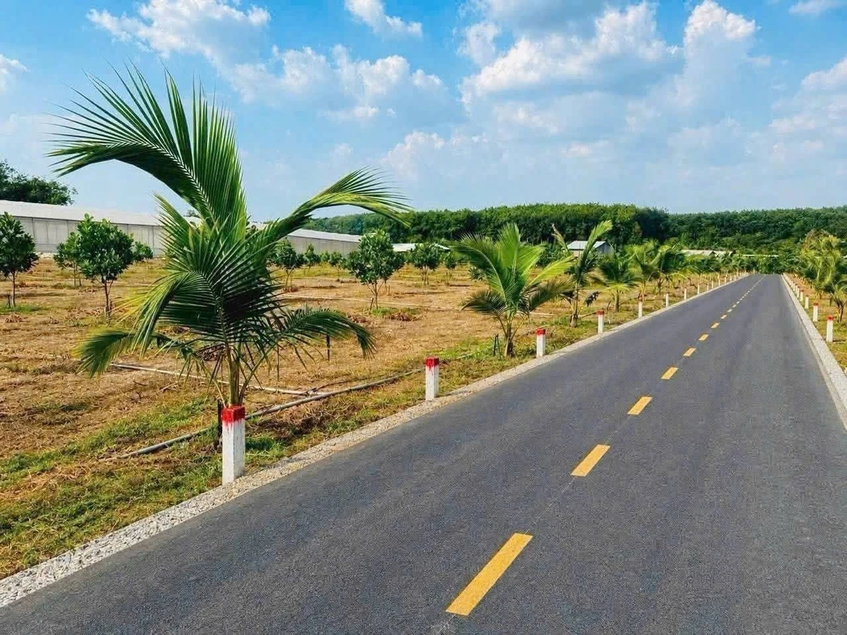 Bán đất 250m2 xã Phước Thành Nhà Bè 480 triệu - Ảnh 1