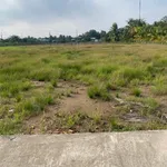 Bán đất 1.396m2 (đất lúa và đất thổ cư) phường Khánh Hậu, Tân An, Tây Ninh giá 1,7 tỷ - Ảnh thu nhỏ 2