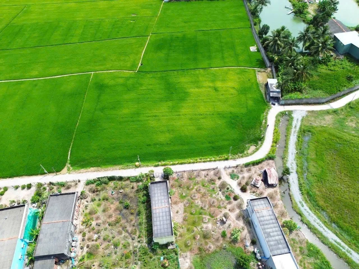 Bán đất thổ cư 100% 150m² giá 399 triệu Tân Trụ Long An - Ảnh thu nhỏ 2