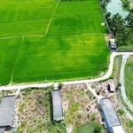 Bán đất thổ cư 100% 150m² giá 399 triệu Tân Trụ Long An - Ảnh thu nhỏ 2