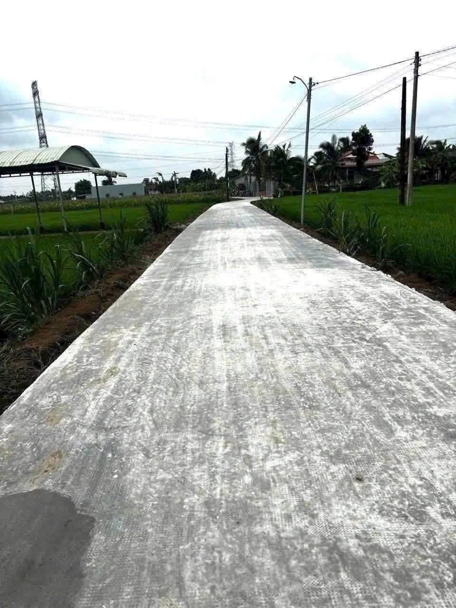 Bán đất thổ 10x39m, Xã Bình Quới, Châu Thành, Long An - Ảnh thu nhỏ 2