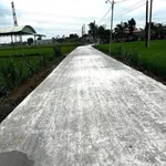 Bán đất thổ 10x39m, Xã Bình Quới, Châu Thành, Long An - Ảnh thu nhỏ 2