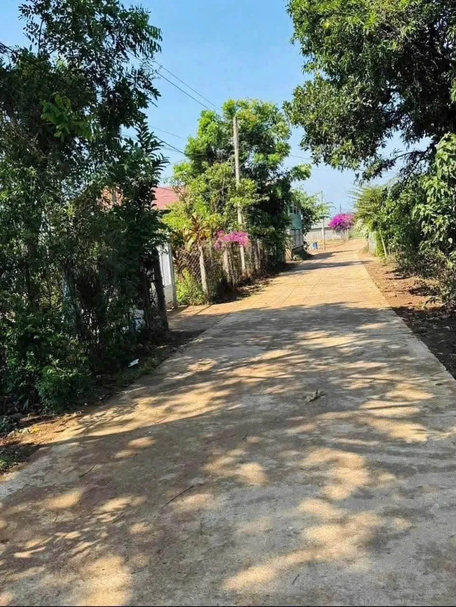 Bán đất Đức Trọng 960m² sổ hồng 1,5 tỷ - Ảnh 1