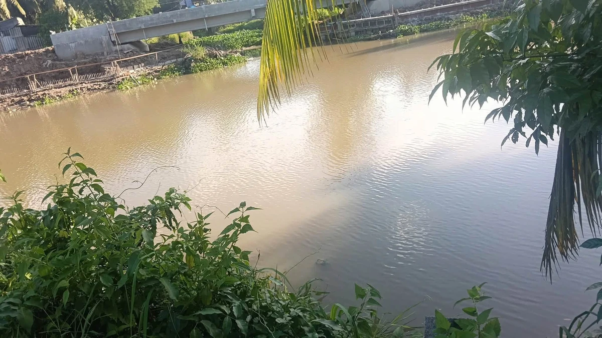 Bán 1888 m² đất vườn dừa Bình Thành, Bến Tre, 750 triệu - Ảnh thu nhỏ 5