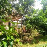 Nhà vườn siêu đẹp, nở hậu, mặt tiền đường Quốc Lộ 20 nối SG - Đà Lạt (Đạ Huoai - Lâm Đồng) - Ảnh thu nhỏ 12