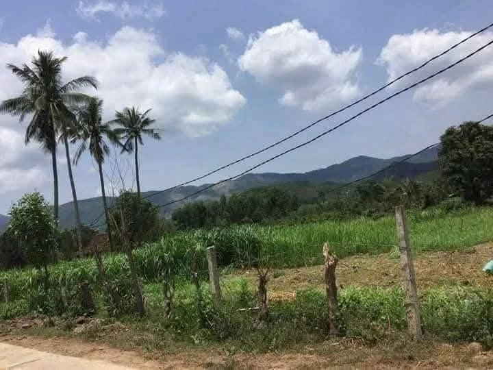 Bán lô đất 7200m² ngang 62m tại Bình Định - Ảnh thu nhỏ 3