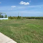 Bán lô thổ cư 100m2 mặt tiền đường xe hơi Hàm Liêm, Lâm Đồng - Ảnh thu nhỏ 2