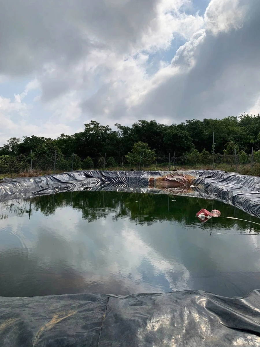 Bán 1,2ha đất vườn sầu riêng, cà phê, có 100m thổ cư tại Phú Trung, Bình Phước - Ảnh thu nhỏ 3