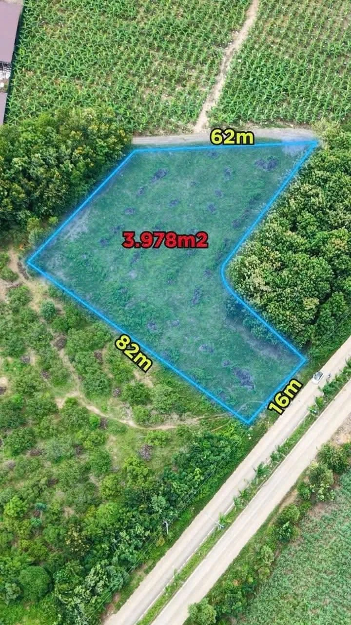 Bán kho xưởng 4000m2 hai mặt tiền KCN Hòa Phú - 1 tỷ 750 triệu - Ảnh 1