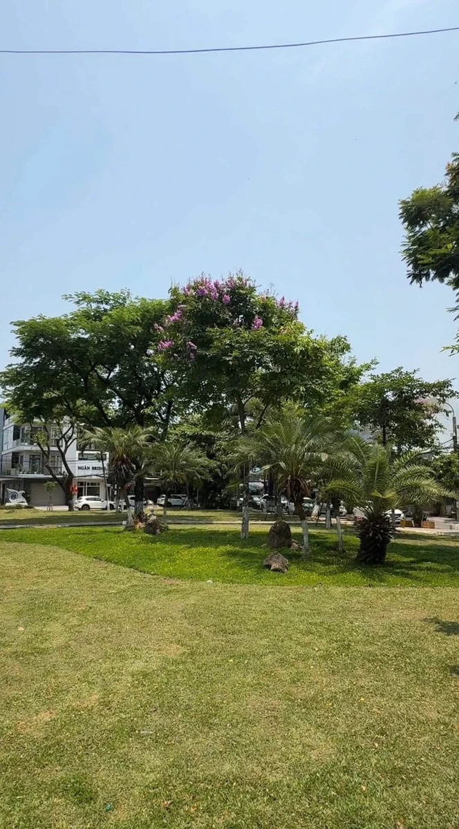 Bán nhà 4 tầng 90m² mặt tiền đường Nguyễn Suý Đà Nẵng - Ảnh thu nhỏ 2