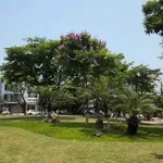 Bán nhà 4 tầng 90m² mặt tiền đường Nguyễn Suý Đà Nẵng - Ảnh thu nhỏ 2