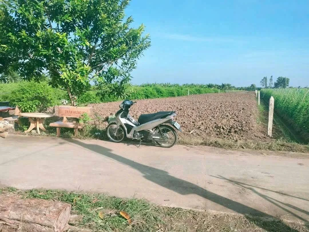 Bán đất làm trang trại 3600 m² Gò Công Đông, Tiền Giang - Ảnh 1