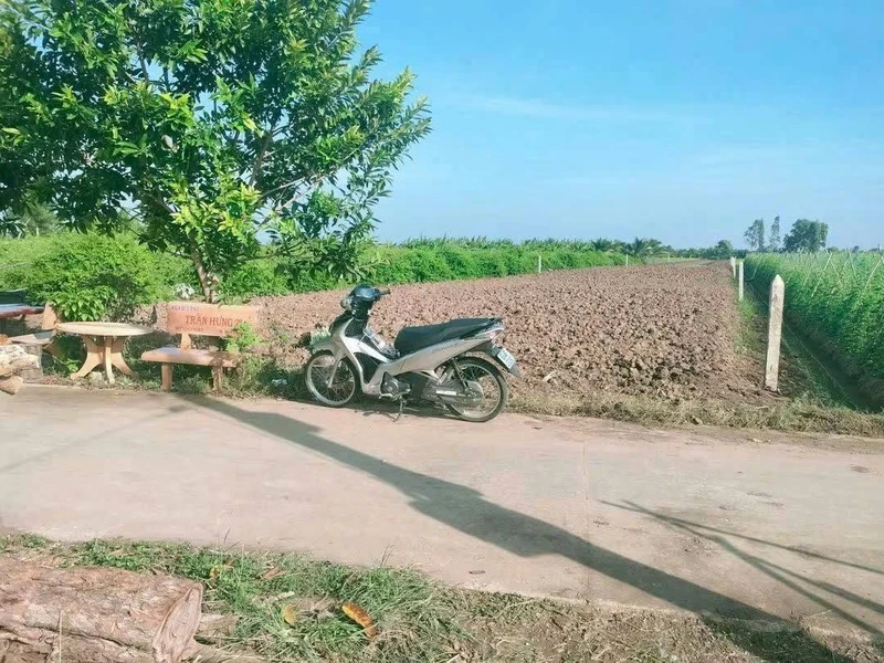 Bán đất làm trang trại 3600 m² Gò Công Đông, Tiền Giang