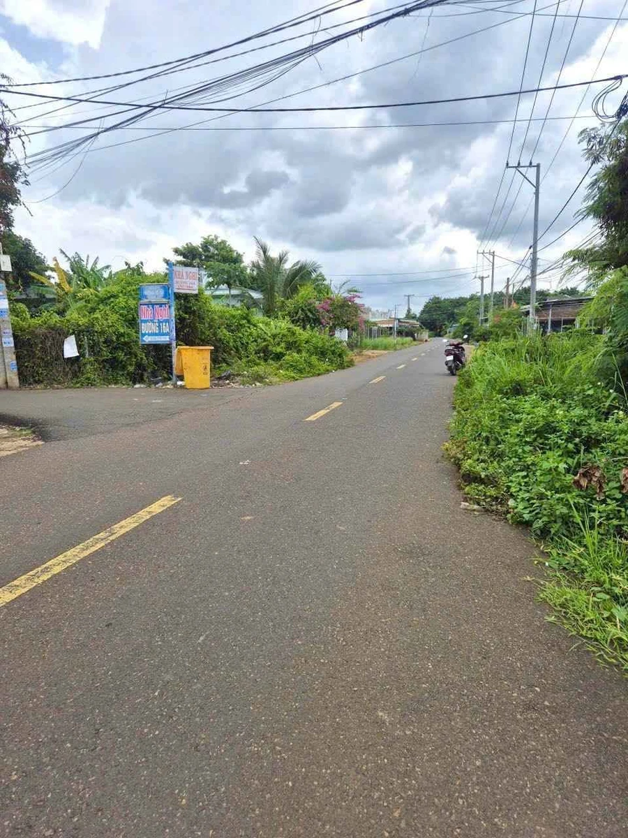 Bán đất Hòa Long 1.225 m2, Bà Rịa - Ảnh thu nhỏ 2