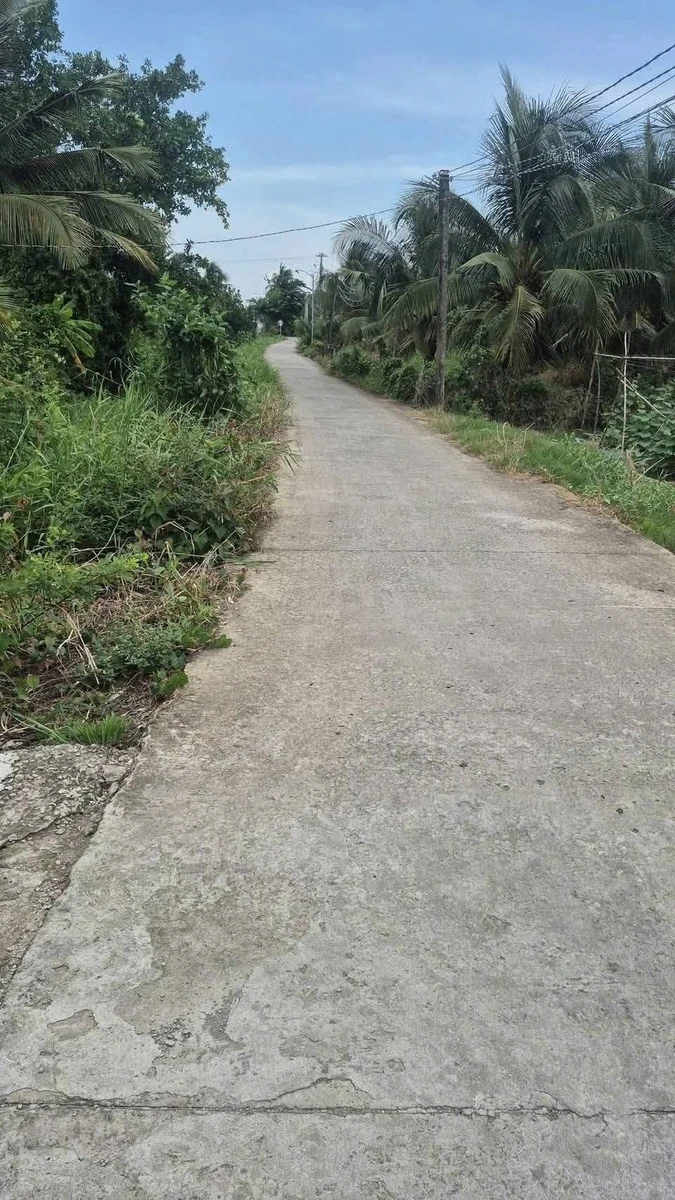 Bán đất lúa 25x40m cho chuyển thổ cư, view kênh tại Hiệp Thạnh, Châu Thành, Long An - Ảnh 1