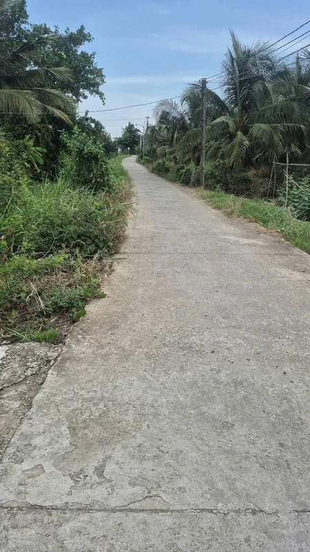 Bán đất lúa 25x40m cho chuyển thổ cư, view kênh tại Hiệp Thạnh, Châu Thành, Long An