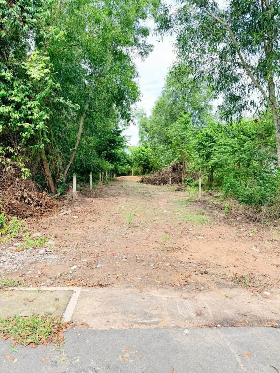 Bán lô đất Phú An 210m² giá 1 tỷ 600 - Ảnh 1