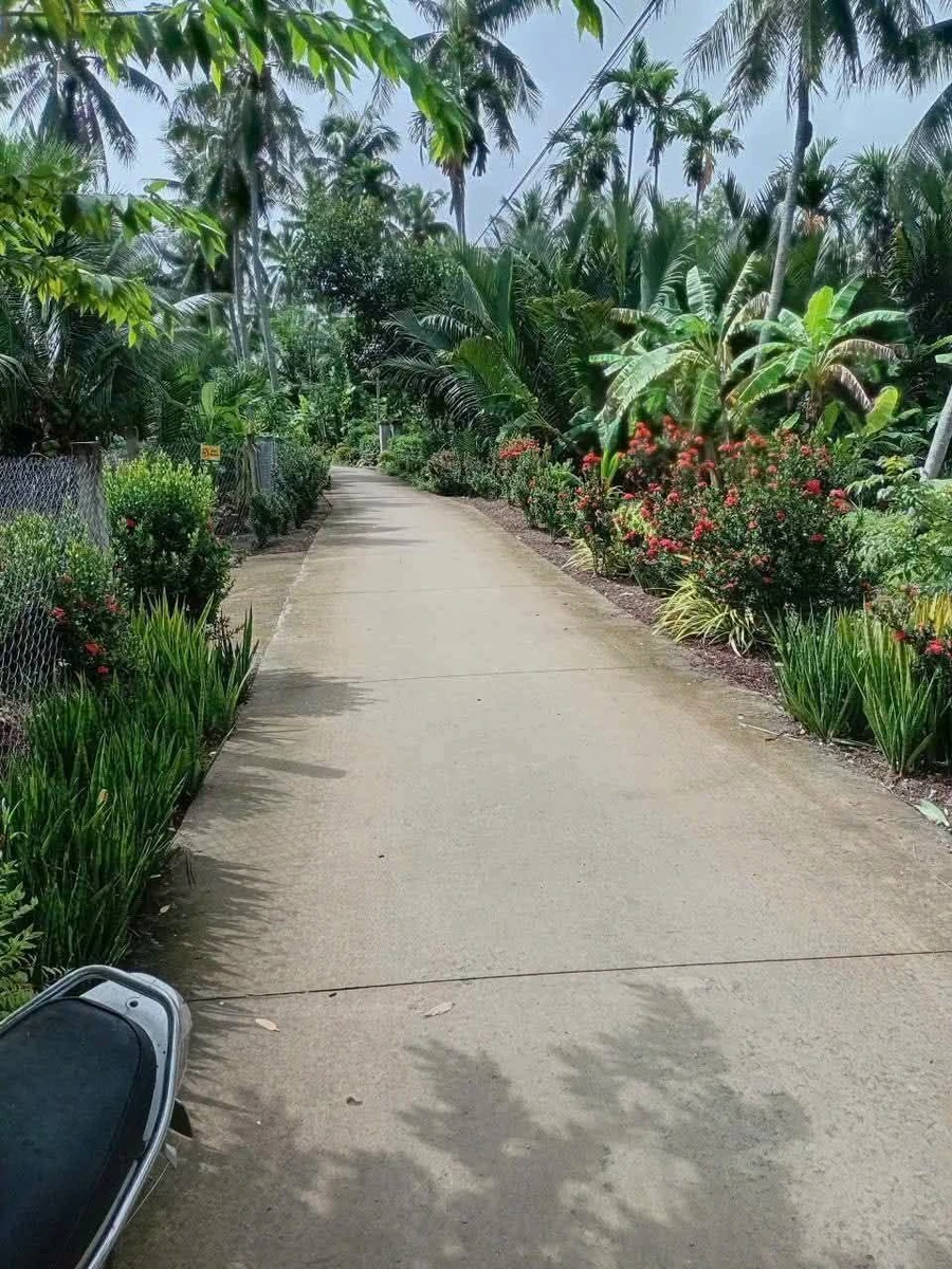 Bán đất vườn 1800m² Phường Bến Tre 2 tỷ 2 - Ảnh 1